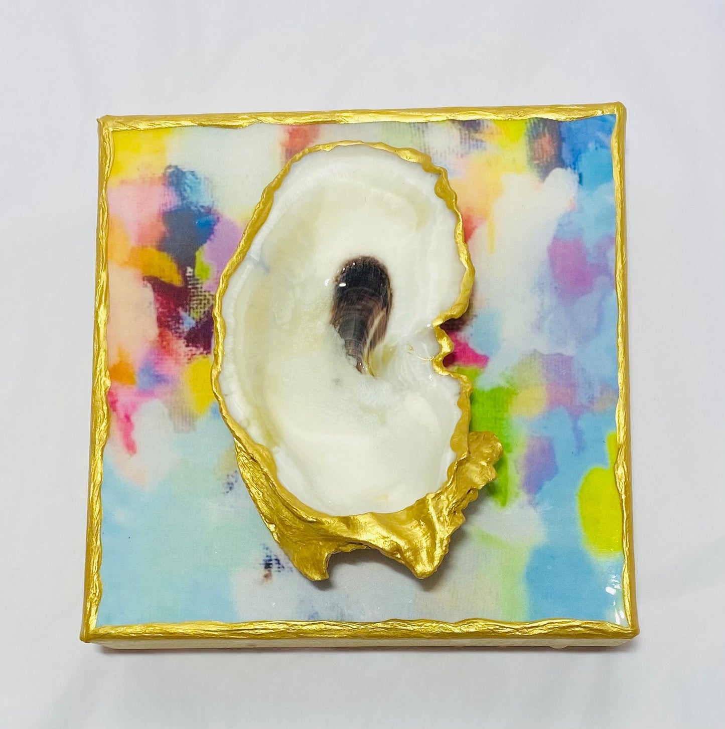 Multi Colors with Oyster