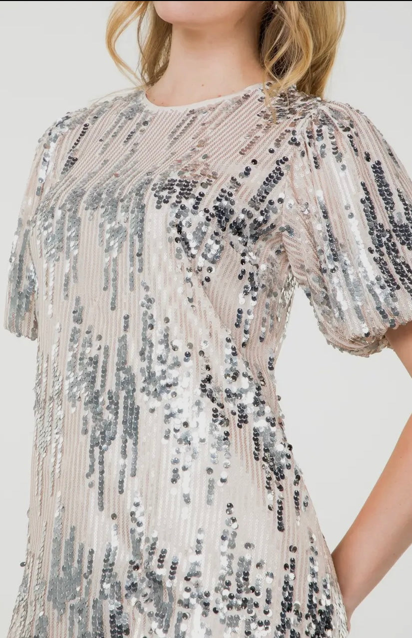 Puff Sleeve Sequin Detail Dress