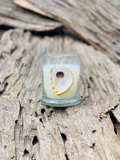 Louisiana Cypress - Bella Luxury Candles