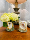 Southern Pine - Bella Luxury Candles