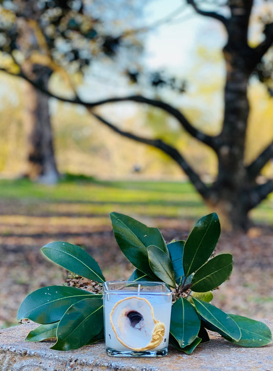 Audubon Afternoon - Bella Luxury Candle / Square Vessel