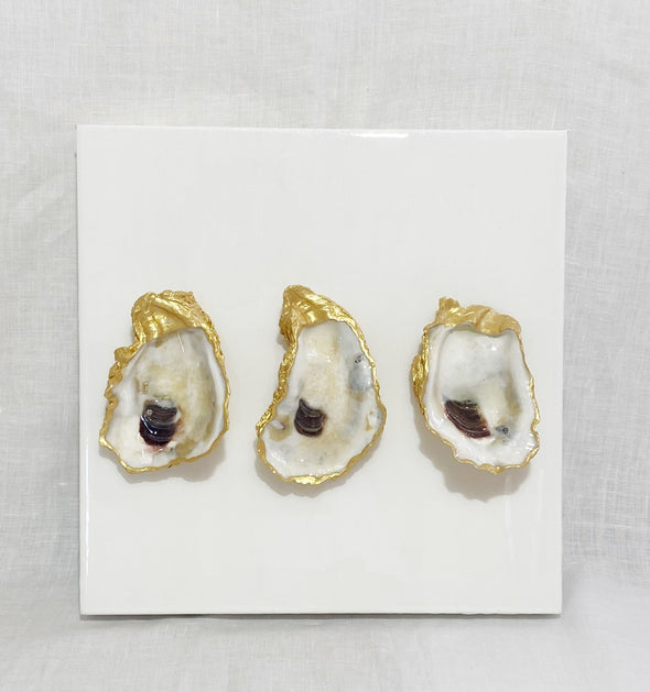 Three Oysters on a 12x12 Canvas